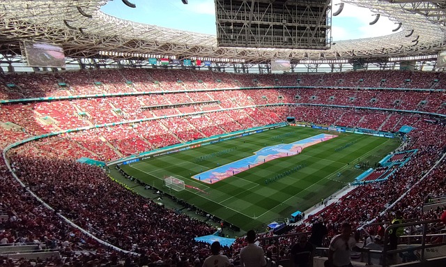 森林狼胜利 森林狼胜利